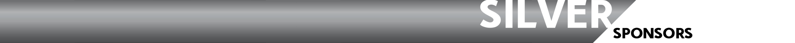 COLOR SILVER bar2 words1